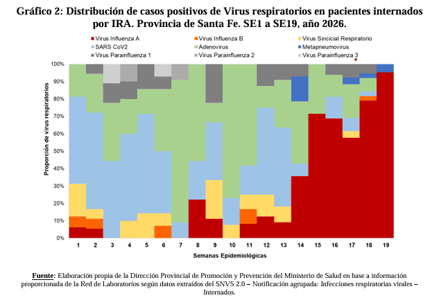 &nbsp;El gráfico sobre las internaciones.