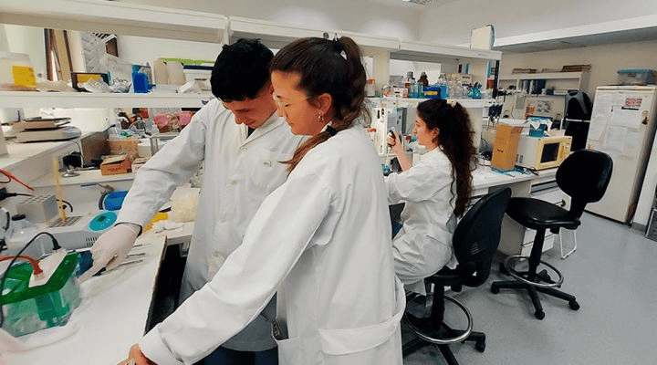 El objetivo de los investigadores es que la herramienta pueda utilizarse en guardias, centros de atención primaria y operativos territoriales.