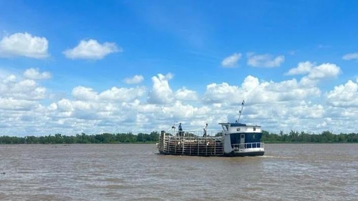El objetivo es llegar al 100% antes de que la crecida complique la evacuación.