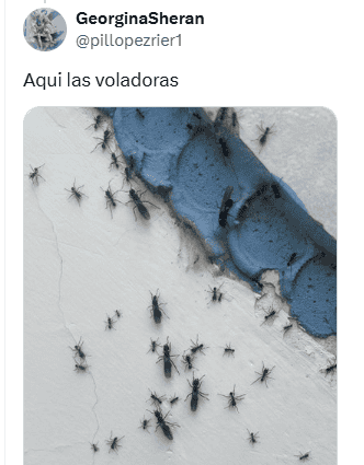 X / @pillopezrier1&nbsp;