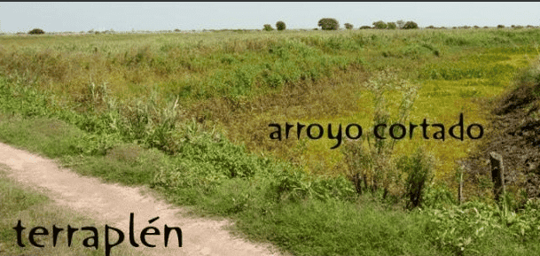 Archivo El Paraná no se toca&nbsp;